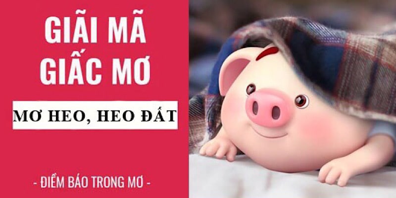 giải mã giấc mơ thấy heo