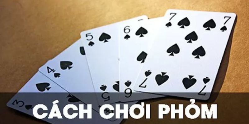 Cách đánh phỏm chuẩn khỏi chỉnh cho người mới chơi