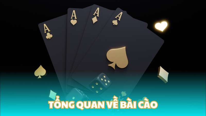 Tổng quan về bài cào