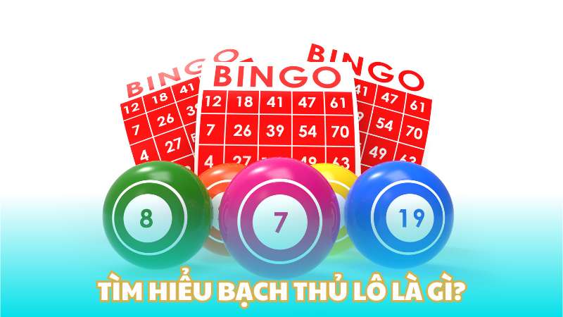 Tìm hiểu Bạch thủ lô là gì?