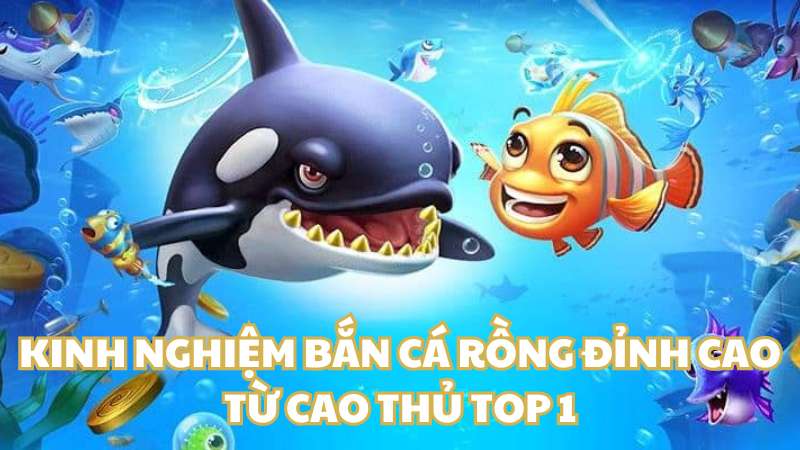 Kinh nghiệm bắn cá rồng đỉnh cao từ cao thủ top 1