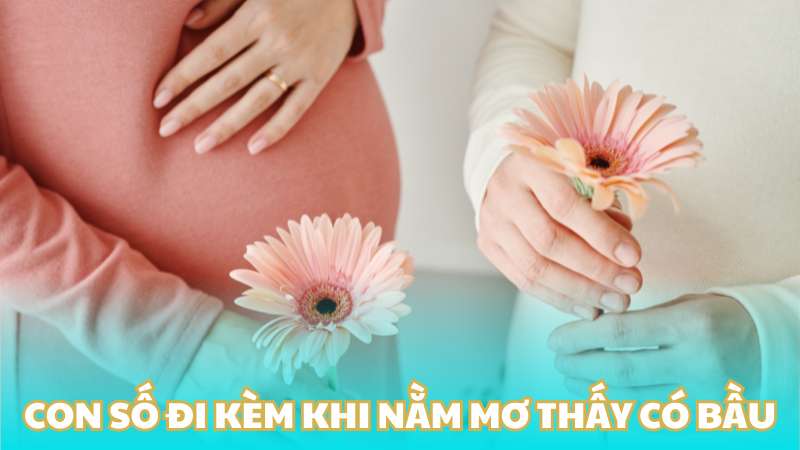 Con số đi kèm khi nằm mơ thấy có bầu