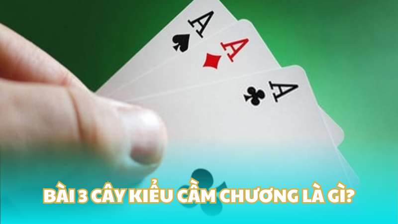 Bài 3 cây kiểu cầm chương là gì?