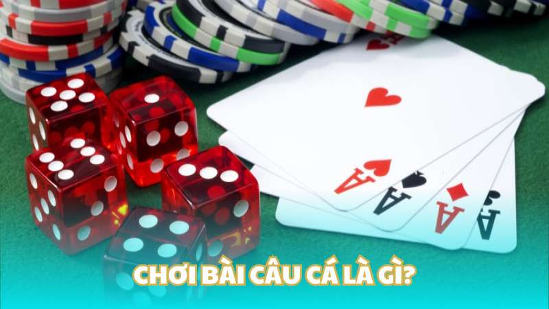 Chơi bài câu cá là gì?