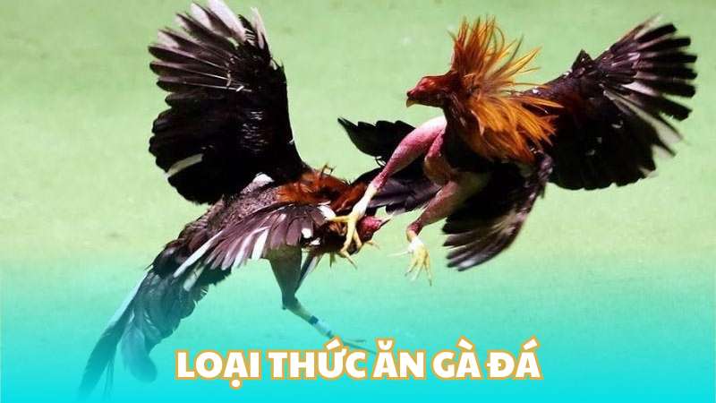 Loại thức ăn gà đá