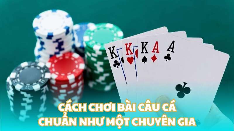 Cách chơi bài câu cá chuẩn như một chuyên gia