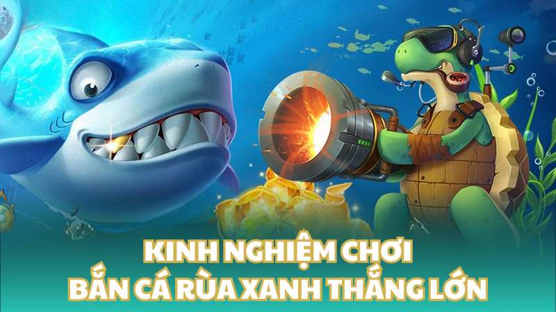 Kinh nghiệm chơi bắn cá rùa xanh thắng lớn