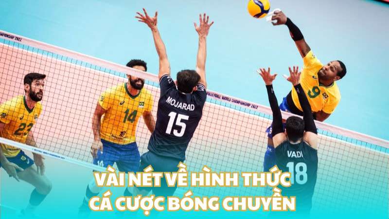 Vài nét về hình thức cá cược bóng chuyền