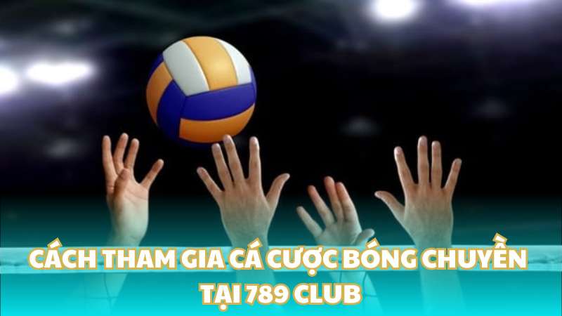 Cách tham gia cá cược bóng chuyền tại 789 Club