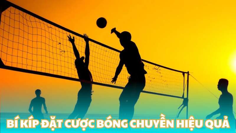 Bí kíp đặt cược bóng chuyền hiệu quả