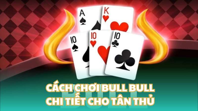 Cách chơi Bull Bull chi tiết cho tân thủ