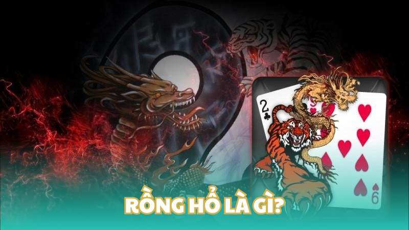 Rồng hổ là gì?