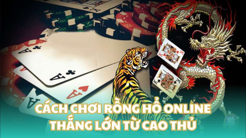 Cách chơi Rồng hổ online thắng lớn từ cao thủ