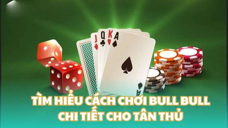 Tìm hiểu cách chơi Bull Bull chi tiết cho tân thủ